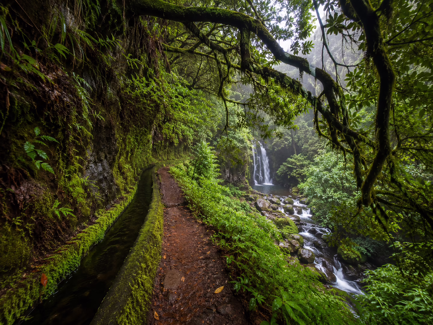 Madeira — 2