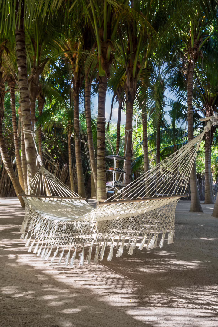 El Dorado Seaside Palms Spa Resort-All Inclusive